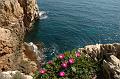 Cap d'Antibes_2008-04-05 (16)